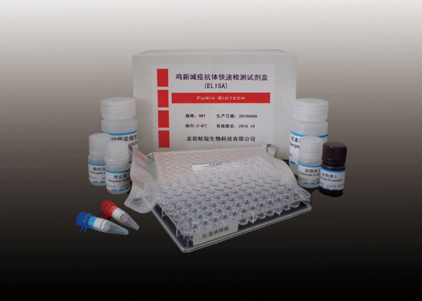 ���³��߲����������Լ���